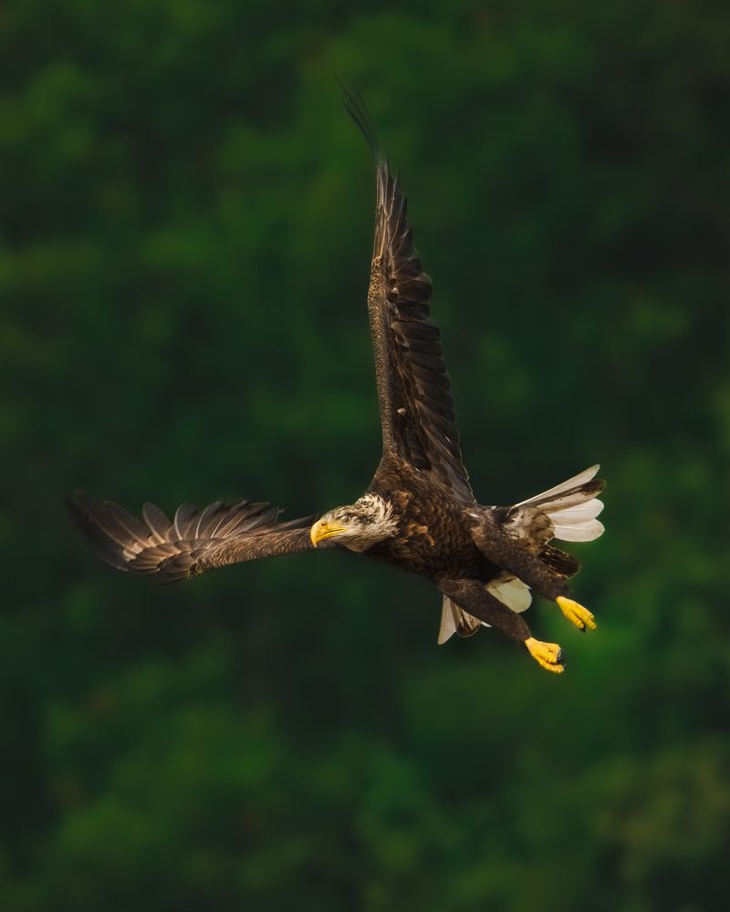 Photograph by Raheel Azim