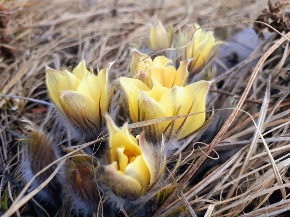 Photograph by Ирина Пичугина