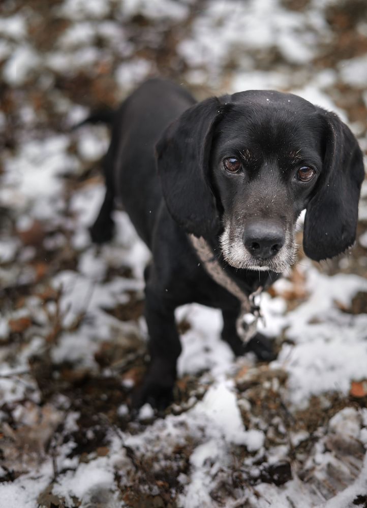 Photograph by Елена Мизюрина