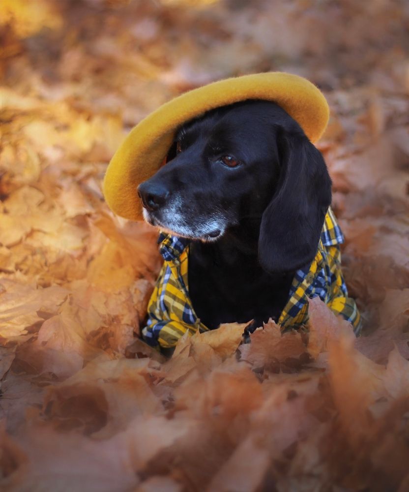 Photograph by Елена Мизюрина