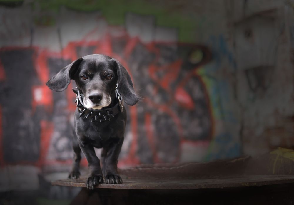 Photograph by Елена Мизюрина