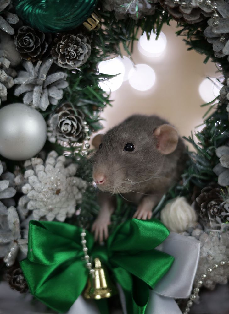 Photograph by Елена Мизюрина