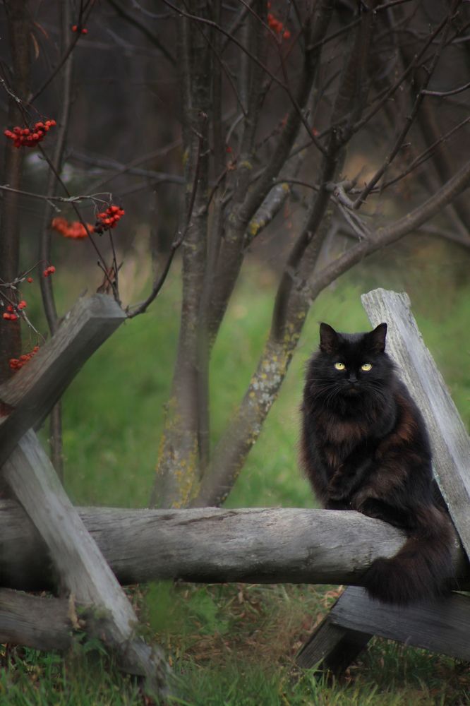 Photograph by Елена Мизюрина