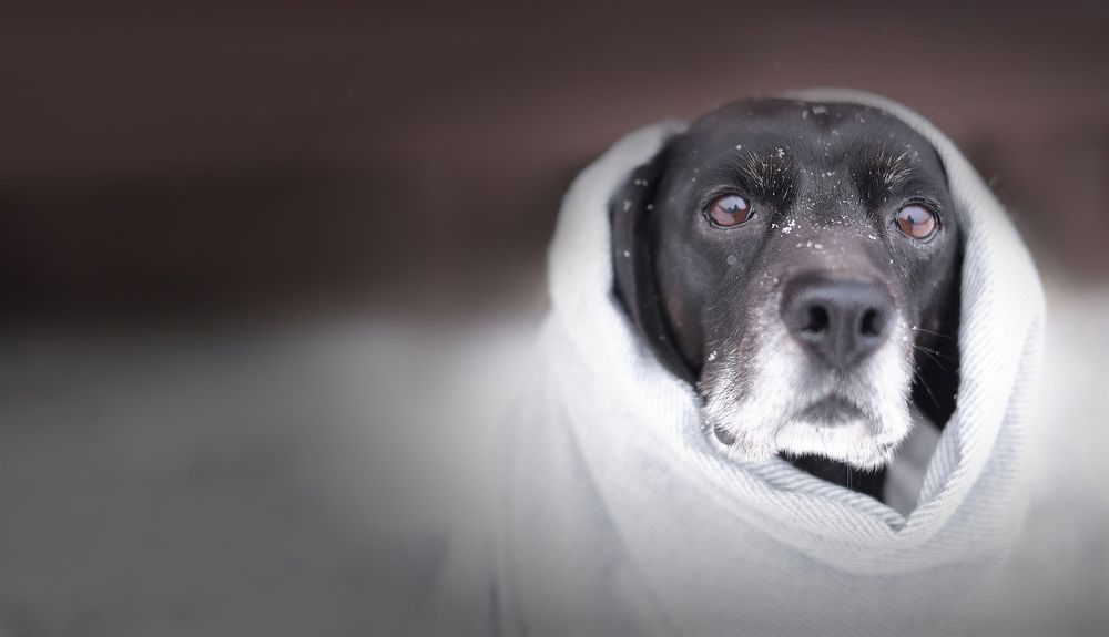 Photograph by Елена Мизюрина