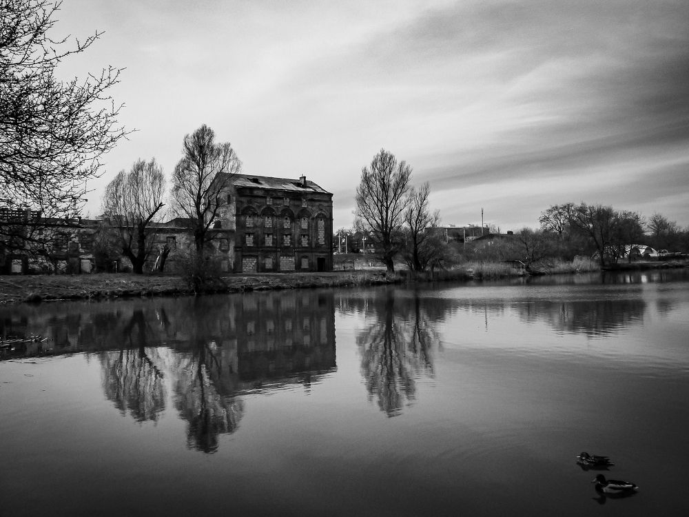 Photograph by Ольга Еженевская