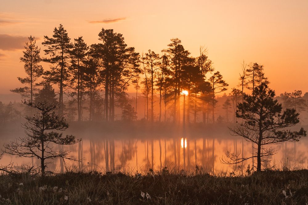 Photograph by Dace Spalvina