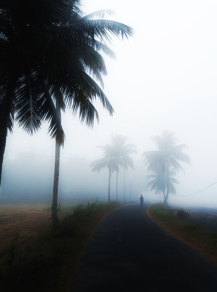 Photograph by Pradyumna Kumar Biswal