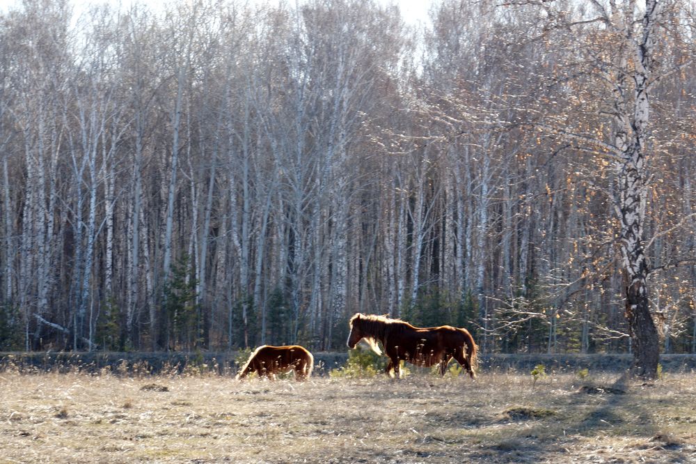 Photograph by Нияз Мирхайдаров