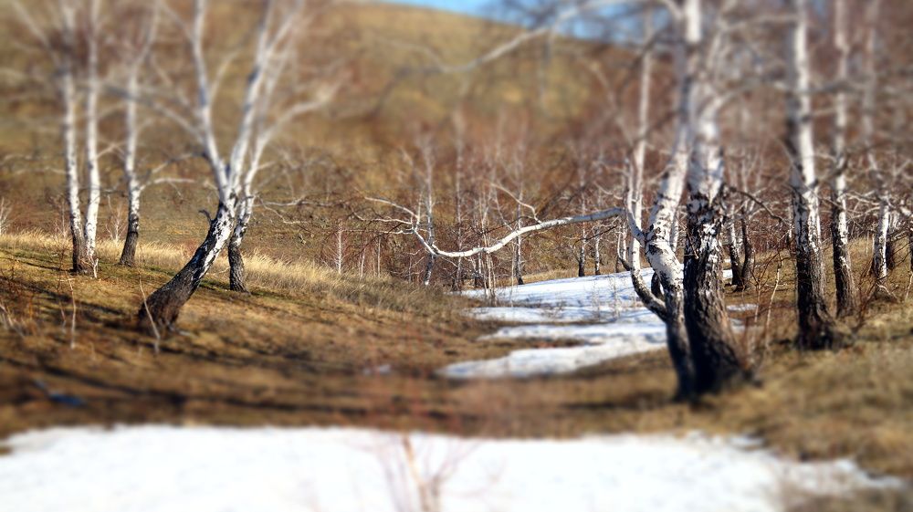 Photograph by Нияз Мирхайдаров