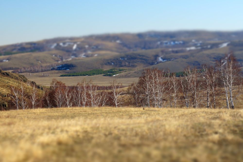 Photograph by Нияз Мирхайдаров