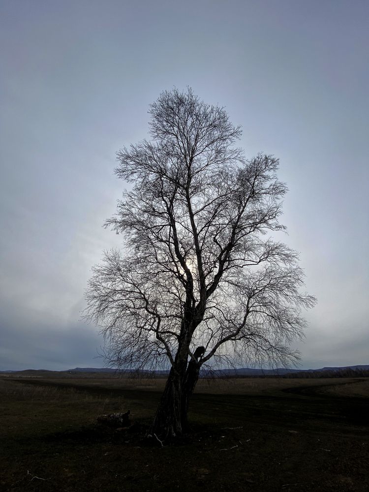 Photograph by Нияз Мирхайдаров