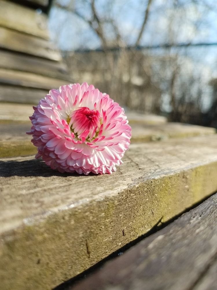 Photograph by Екатерина Супраненок