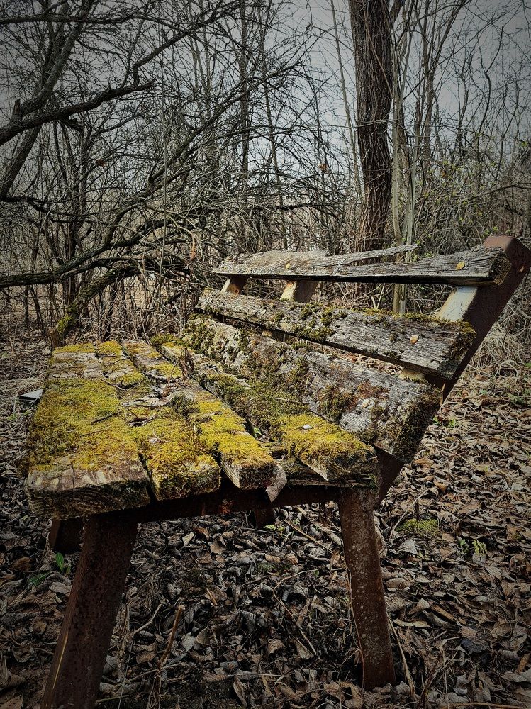 Photograph by Мария Шамина