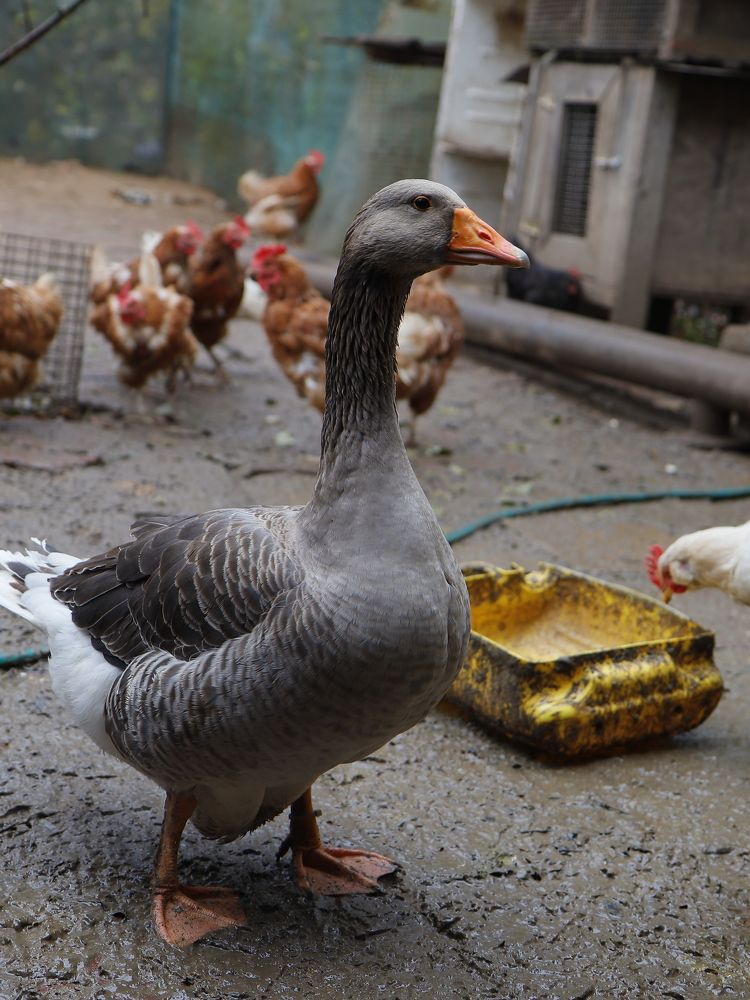 Photograph by Екатерина Слепнева