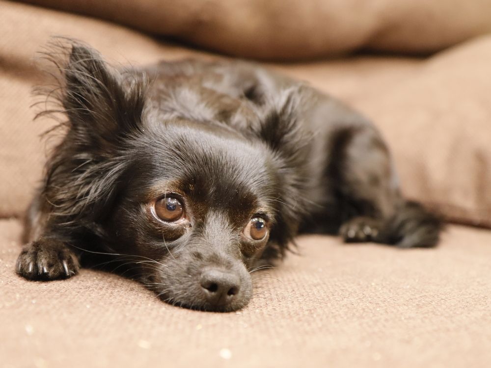 Photograph by Екатерина Слепнева