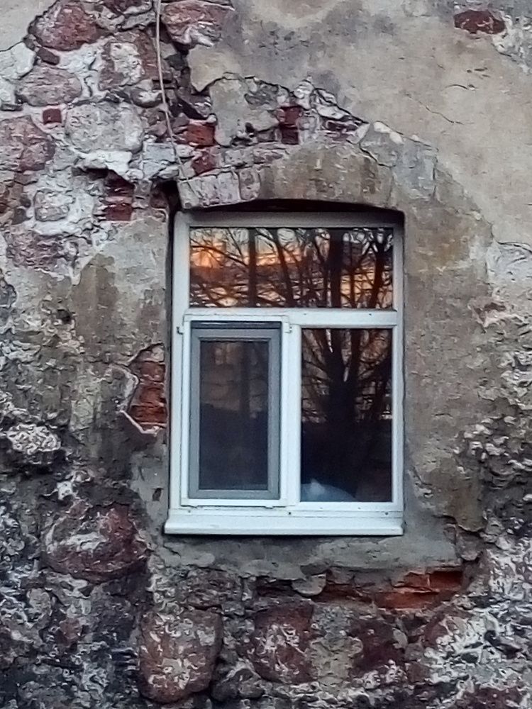 Photograph by Людмила Ковалева