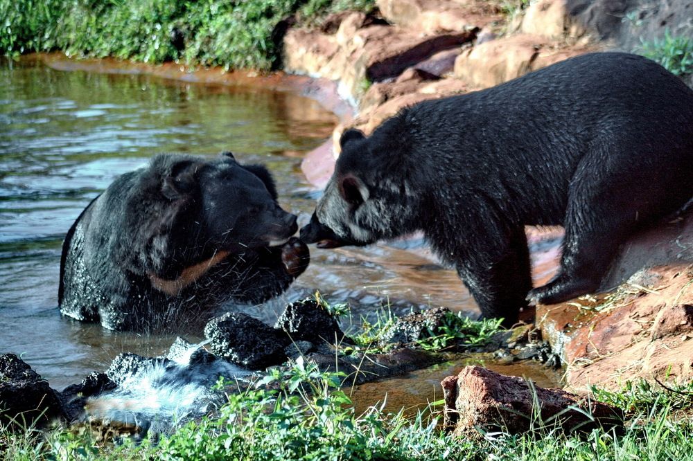 Photograph by вячеслав милов