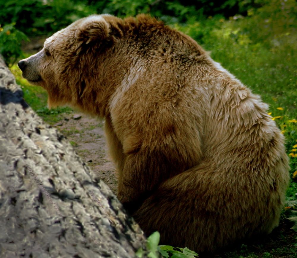 Photograph by вячеслав милов