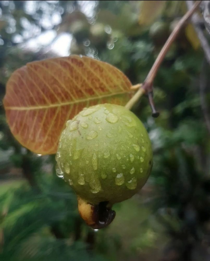 Photograph by Sana Khan