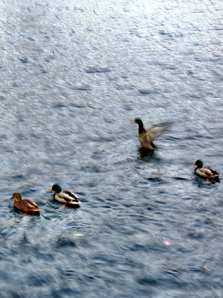 Photograph by Евгения Казакова