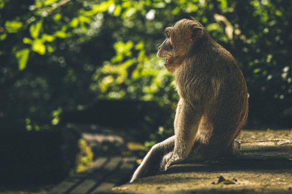 Photograph by Ivan Mamalyha