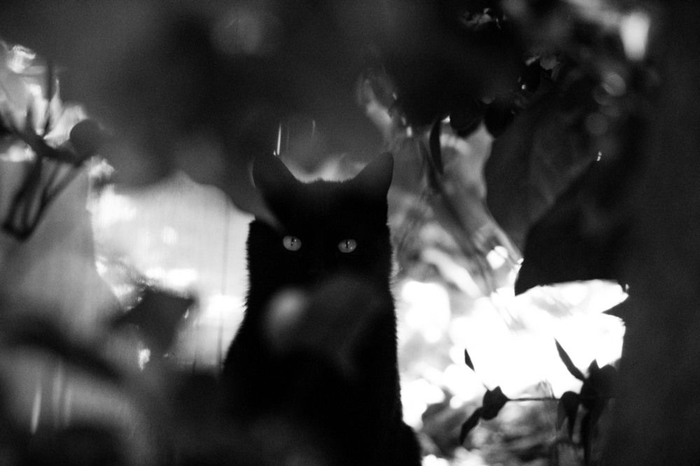 Photograph by Hasti Esteki