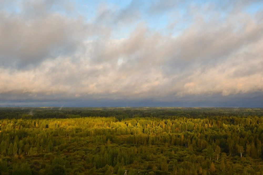 Photograph by Дмитрий Петров