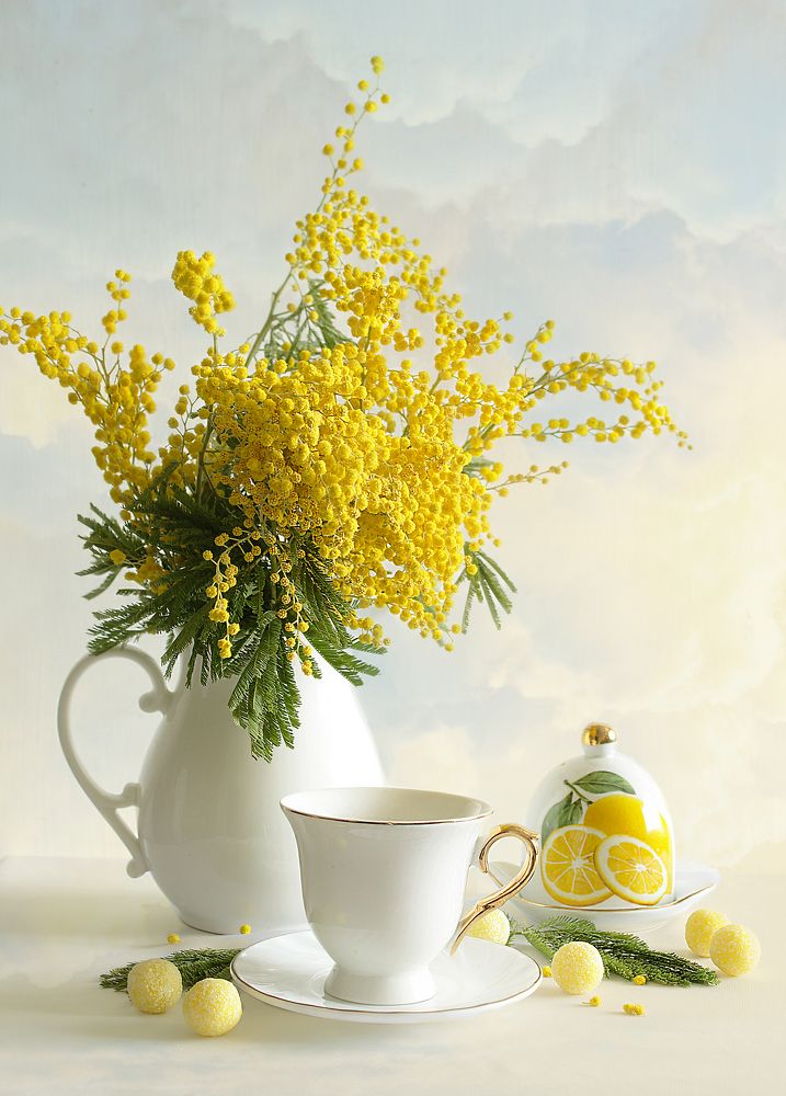 Photograph by Татьяна Долженкова