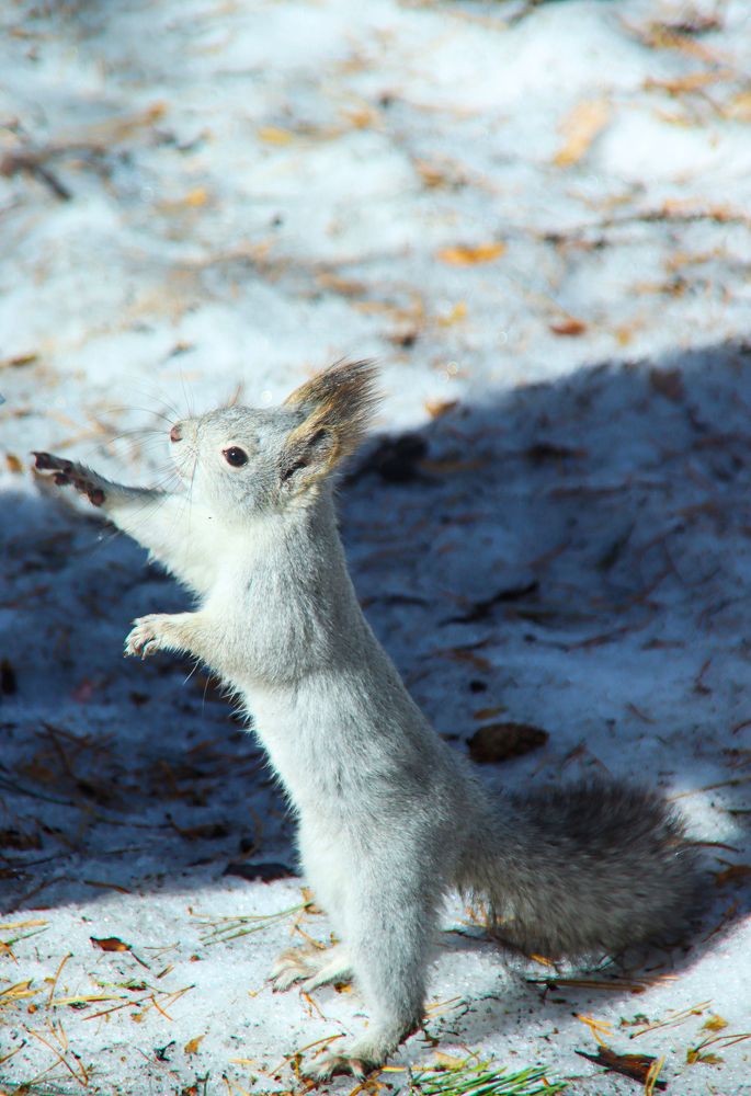 Photograph by Елена Андреевна