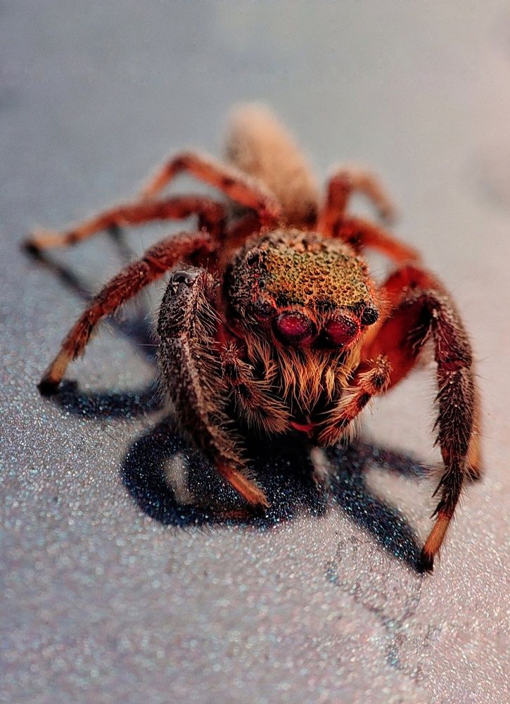 Photograph by George S George