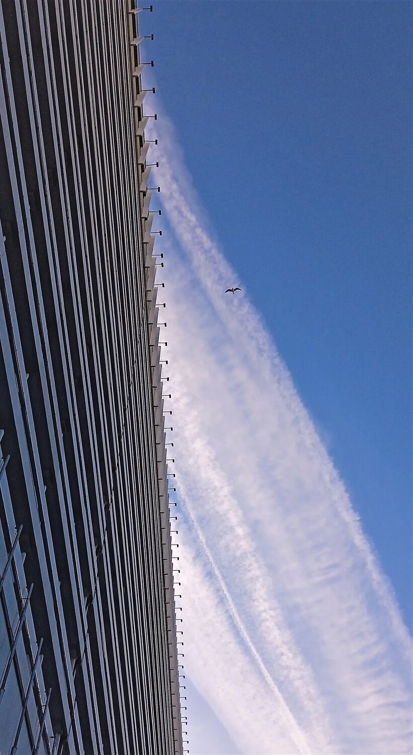 Photo #9074814
