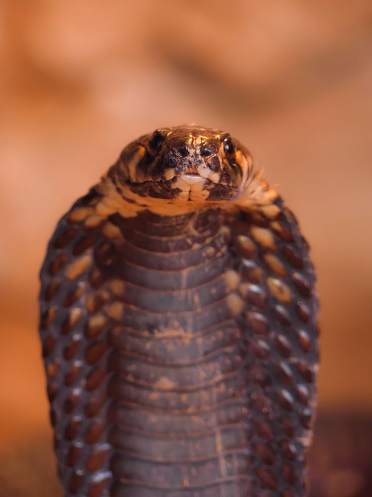 Photograph by Abdelatif Smaini