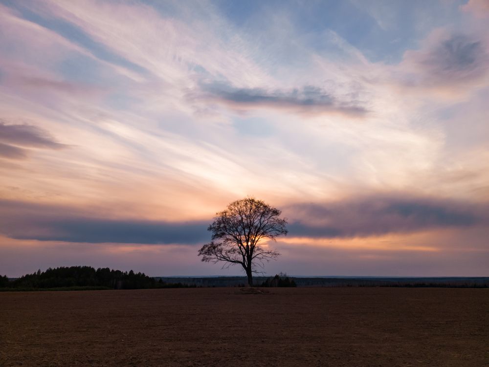Photograph by Ильсур Абдуллин