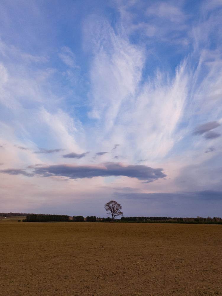 Photograph by Ильсур Абдуллин
