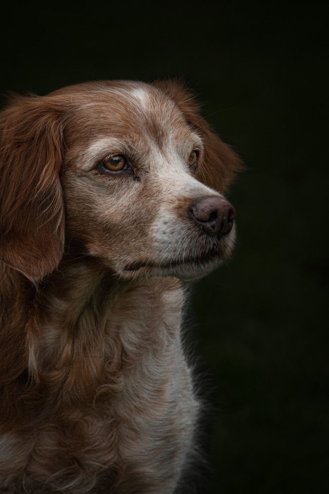 Photograph by Markéta Mastešová