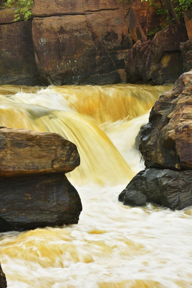 Photograph by Joy Karmakar