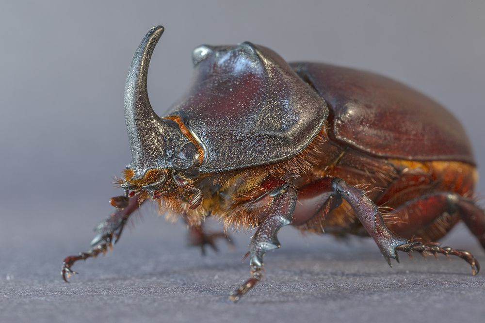 Photograph by Анатолий Макоедов