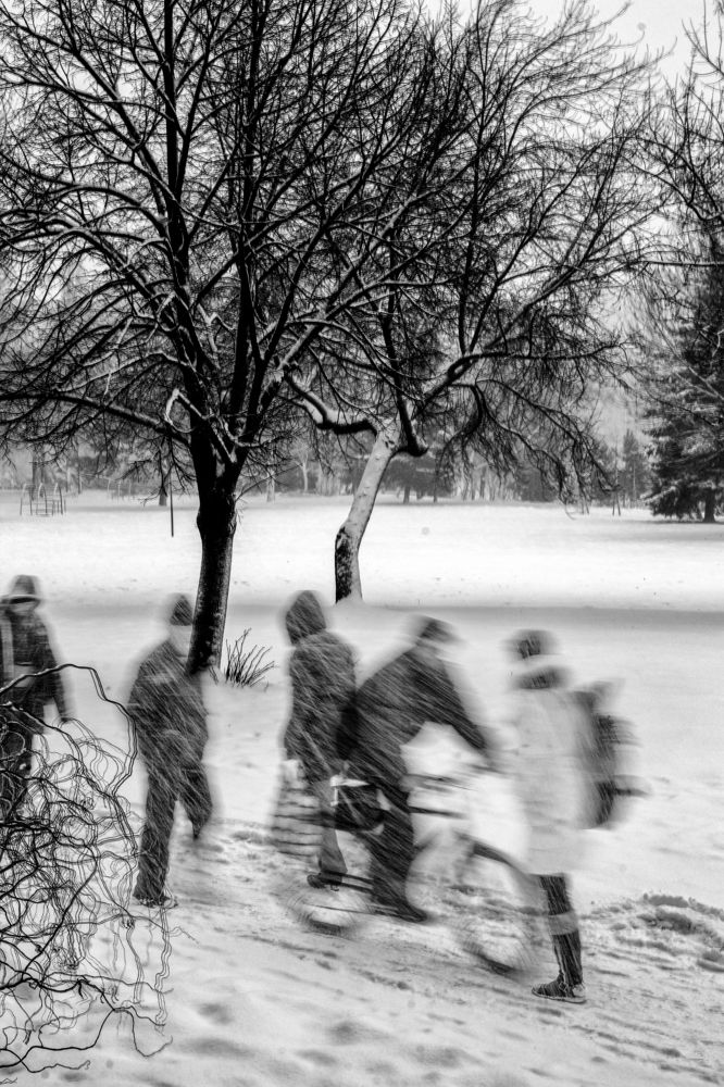 Фотография автора Josef Nový