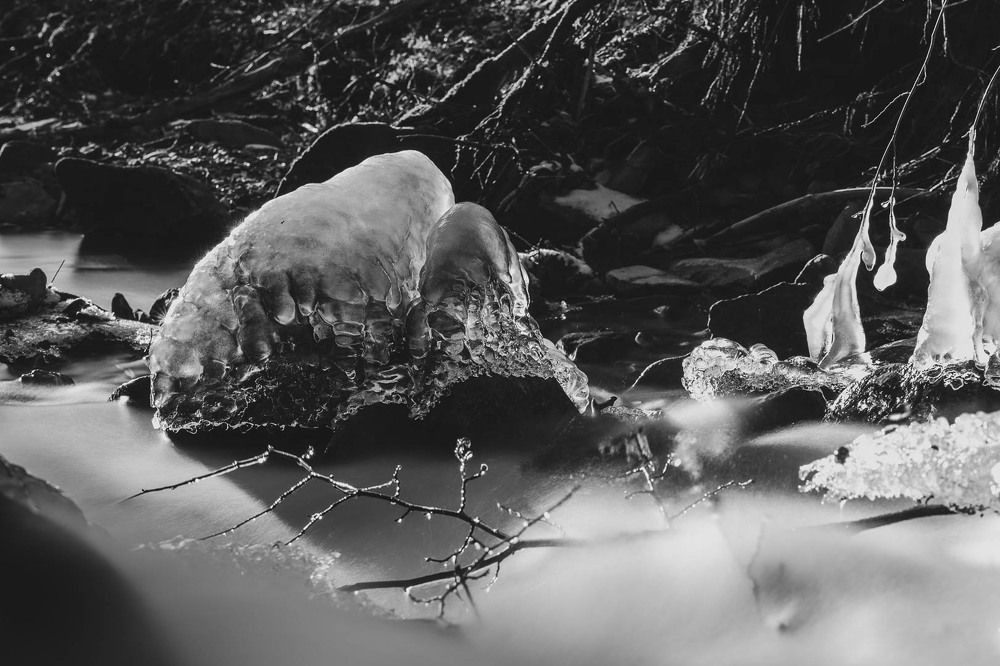 Фотография автора Josef Nový