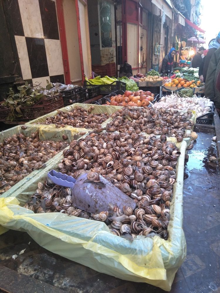 At the market in Oran, Algeria