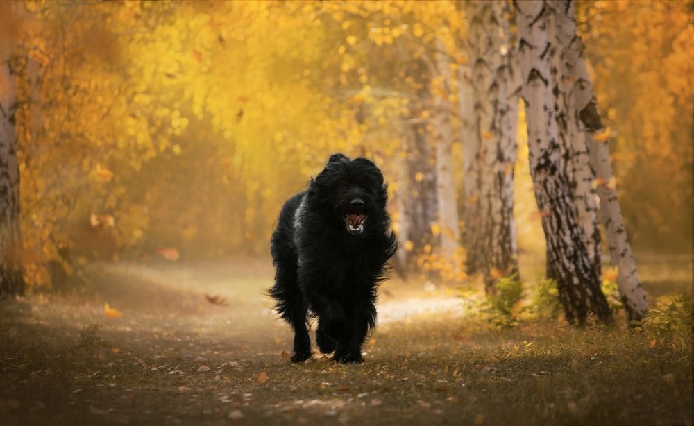 Photograph by Жанна Дандыбаева