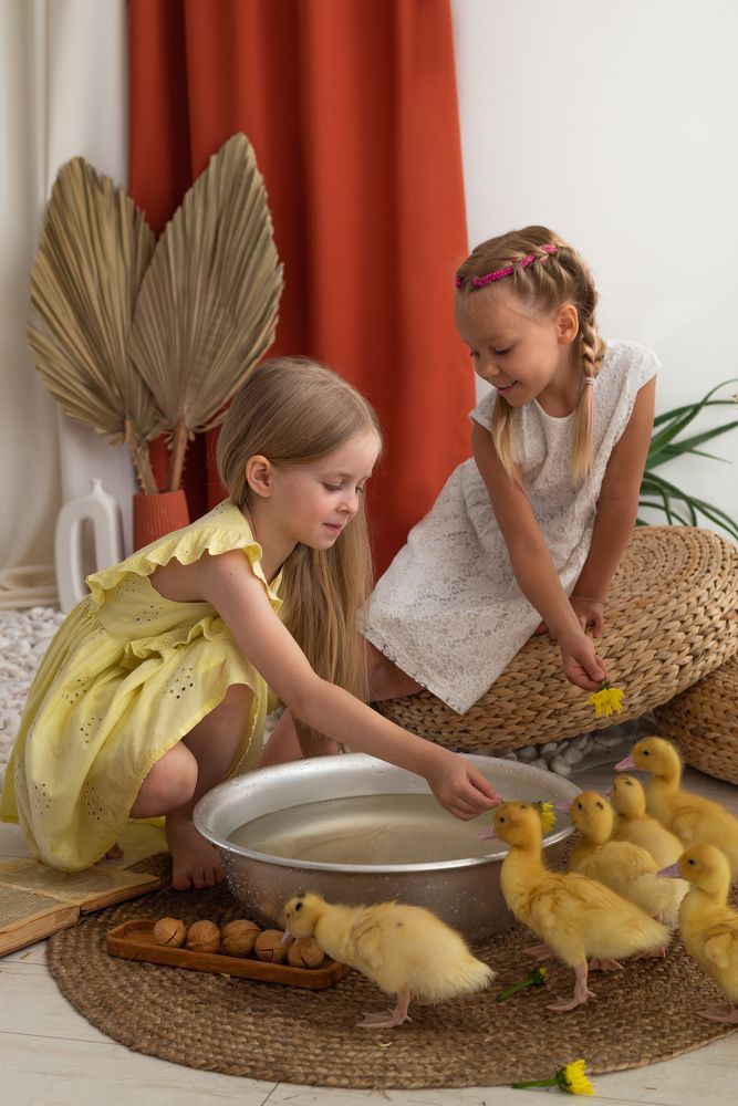 Photograph by Ольга Лазебникова