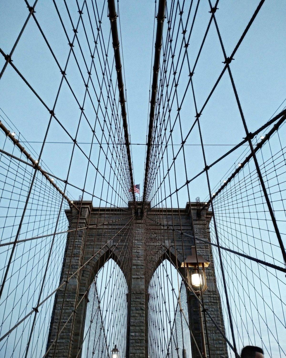 Photo #9075495