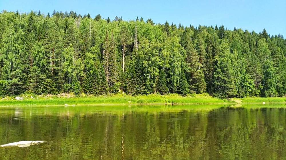 Photograph by Юлия Прохорова