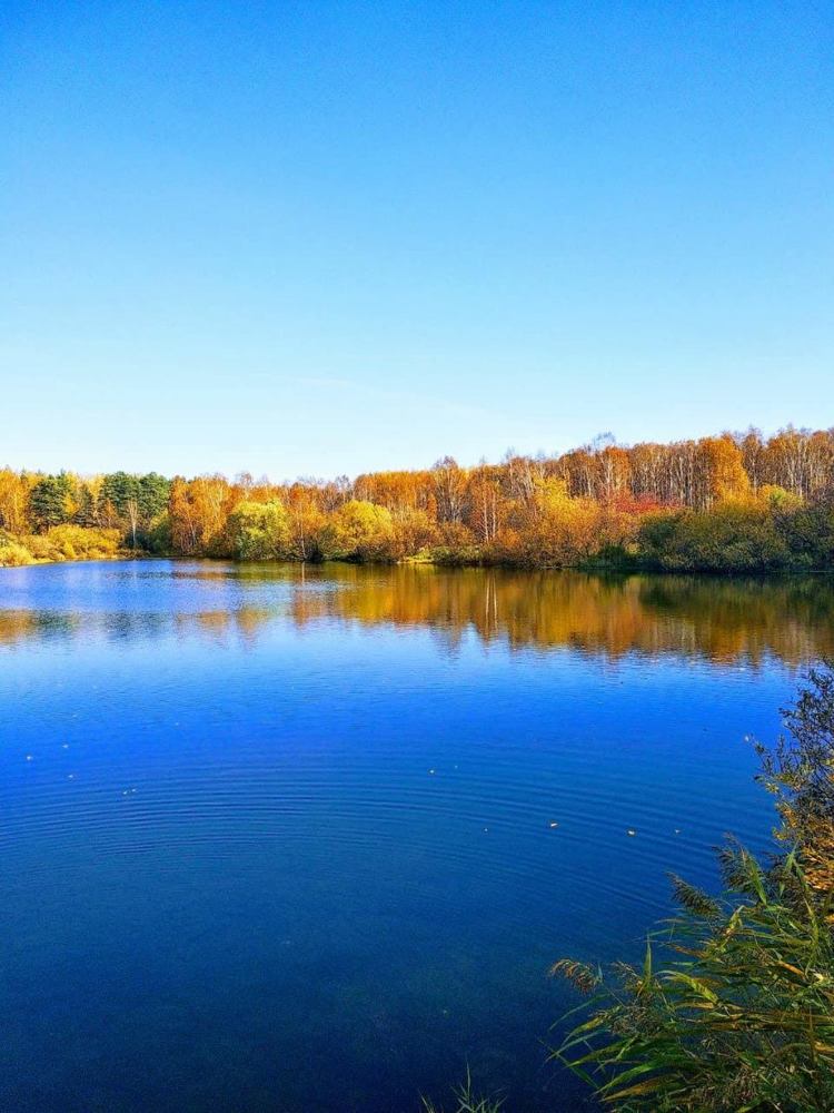 Photograph by Юлия Прохорова