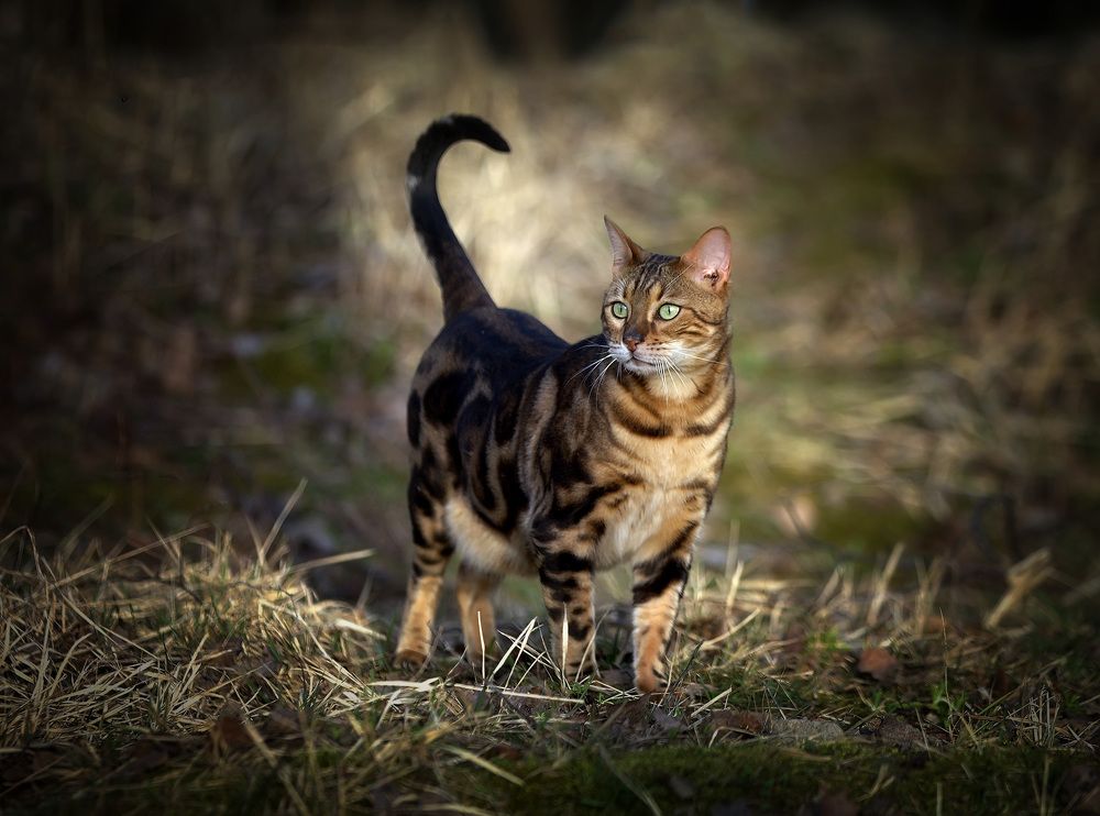 Photograph by Андрей Автухов