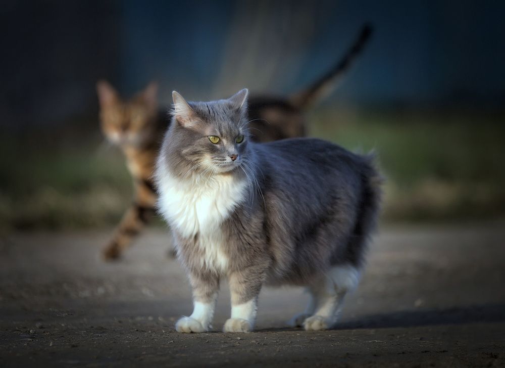 Photograph by Андрей Автухов