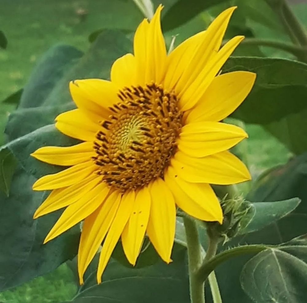 Photograph by Sana Khan