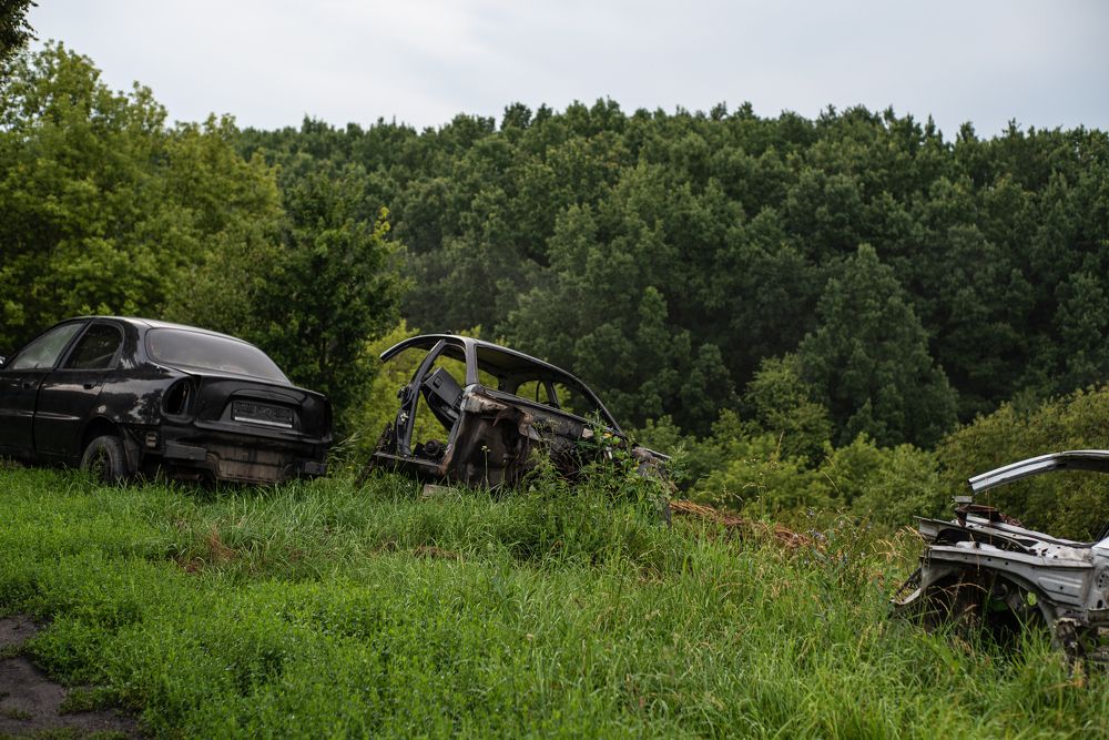 Photograph by наталья залогина