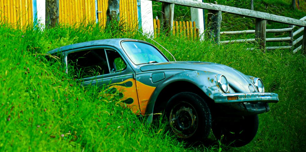 Photograph by Виктория Янушанис